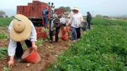 Επικυρώθηκε η απόφαση της Κομισιόν για ανάκτηση αγροτικών επιδοτήσεων